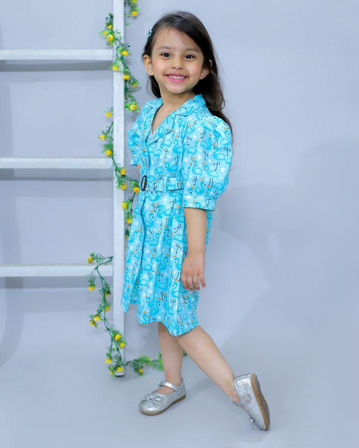 (SS-SS-1003) Lapel Collar Cotton Shirt Dress - Blue Flamingo print